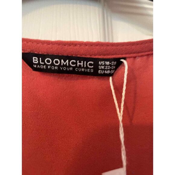 NWT Rust Colored Embroidered Lantern Sleeve Pocket Flutter Hem Dress Size 18-20 - Picture 3 of 4